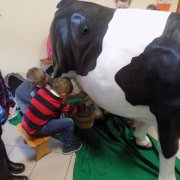 Krowa w szkole